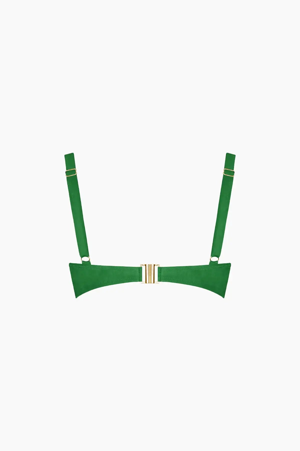 Héméra Green Iguana Triangle Bikini Top